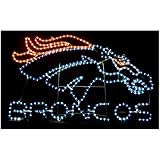 Denver Broncos Yard Lights