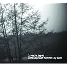 Feelings for Something Lost
