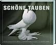 tauben