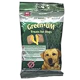Green-Um Treats - 70 gm - For Dogs & Cats