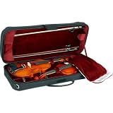 Violin Bags & Cases