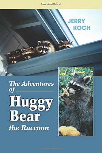 the adventures of huggy bear the raccoon