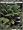 Fern Grower's Manual: Revised and Expanded Edition