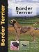 Image of Border Terrier (Pet love)