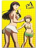 ペルソナ4 下敷きA&Bセット