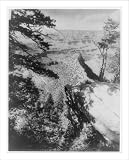 Historic Print (L): [Colo. - Grand Canyon - Views: from Near Bridge at Grand View Hotel, 1906]
