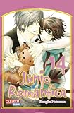 Produkt-Bild: Junjo Romantica, Band 14