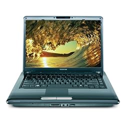Toshiba Satellite A305-S6864 15.4-inch Laptop (2.26 GHz Intel Core 2 Duo P8400 Processor, 4 GB RAM, 320 GB Hard Drive, DVD Drive, Vista Premium)