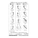 Travel Accessories