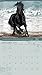 The Spirit of Horses 2016 Calendar