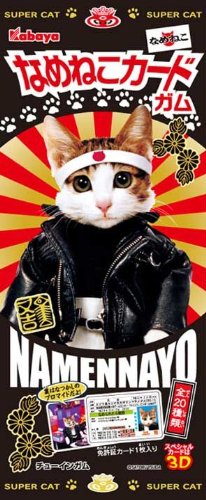 なめねこカードガム 1BOX(食玩)