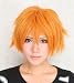 The Kingdom Hearts Feehan Santos Ventus Anti Alice Cosplay Wig