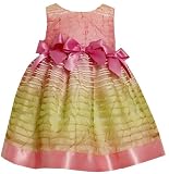 Bonnie Jean Toddler Girls Ombre Sheer Stripe Dress