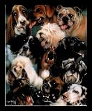 Dan Mcmanis All Breeds Dogs Cute Gold Wood-Mounted Art Poster Print - 16