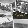 Image of album by Into the Moat
