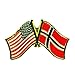 USA & Norway Flag Pin