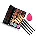 EVERMARKET 15 Colors Contour Face Cream Makeup Concealer Palette + 4pcs Powder Brushes With Free Makeup Sponge Blender