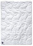 Billerbeck 5105440001 Naturdecke E45 Bamboo Superlight, 135 / 200 cm champagner