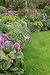 Spring Garden - 24