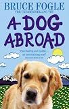 A dog abroad : one man and his dog journey into the heart of Europe
