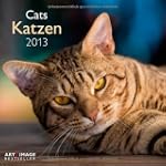 Katzen 2013 Brosch�renkalender