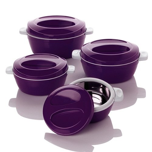 Insulated Bowl Set of 4 Hot and Cold Insulated Containers with Lids