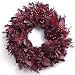 18 HANDMADE SHADES OF BURGUNDY WREATH Preserved Boxwood, Port Orford Cedar, Coffeeberry, Saddler Oak, Flax