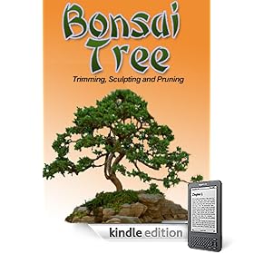 Growing and Caring For Your Bonsai Tree