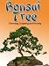 Growing and Caring For Your Bonsai Tree Growing and Caring For Your Bonsai Tree