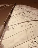 Windward Sail I Art Poster PRINT Alan Hausenflock 11x14