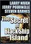 The Secret of Black Ship Island (The Avalon Series)
