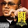 Elephant in the Room ~ Fat Joe