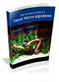 Freshwater Aquarium Tips and Tricks