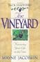 The vineyard