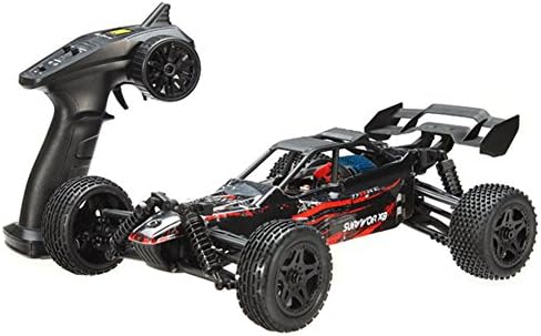 VISTON 1/12 2.4G 4WD Brushed Desert Buggy RC Car Racing RTR Vehicle Toy