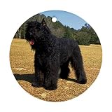 Bouvier des Flandres Ornament (Round)