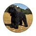 Bouvier des Flandres Ornament (Round)