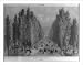 Historic Print (L): Paseo de la Ca�ada (Santiago) Image