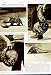 1949 TEMMINCK PANGOLINS ZOO LONDON ENGLAND ANT-EATER