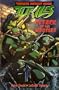 Teenage Mutant Ninja Turtles: Attack of the Mousers (Teenage Mutant Ninja Turtles (Titan Books)) (v. 1)