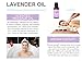 AromaOils Lavender Oil - 1 oz - 100% Pure Therapeutic Grade Scented Essential Oil - Best Now for Relaxation, Sleep, Headache, Migraine Relief, Stress Reduction, Massage Oil