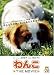 わんこ THE MOVIE 初回限定スペシャル版 [DVD]