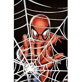 Spider-Man - Marvel Comics Poster (Spidey In Web) Poster Print, 22x34 Poster Print, 22x34 Poster Print, 22x34