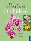 Produkt-Bild: Die Kosmos Enzyklop&auml;die der Orchideen: 1500 Arten und Hybriden im Portr&auml;t