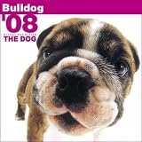 Bulldog The Dog 2008 Wall Calendar