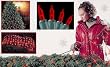4' x 6' Red Mini Net Style Christmas Lights - Green Wire
