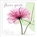 Flower Spirits 2015 Mini Calendar