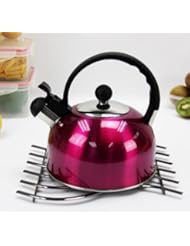 Kitchen: Stainless Steel Tea Kettle - Hot Pink - Vanderbilt