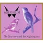 The Sparrows And The Nightingales (Radio Edit)