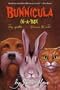 Bunnicula-in-a-Box: Bunnicula, The Celery Stalks at Midnight, Howliday Inn